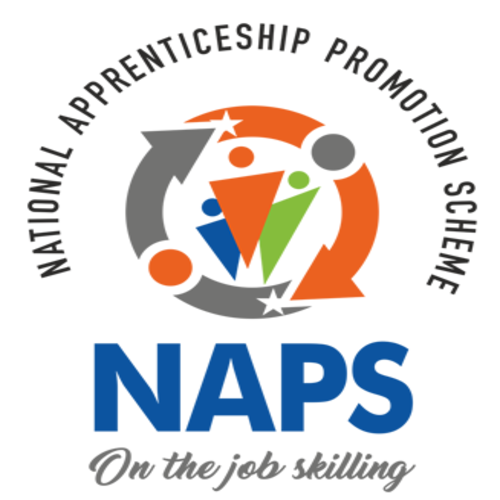 NAPS Logo